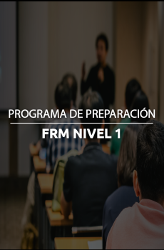 PROGRAMA DE PREPARACIÓN FRM NIVEL I