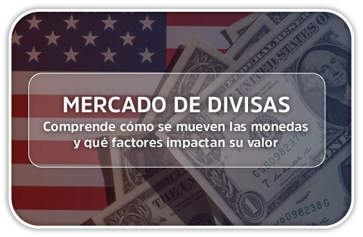 Mercado de Divisa NewCapital Securities